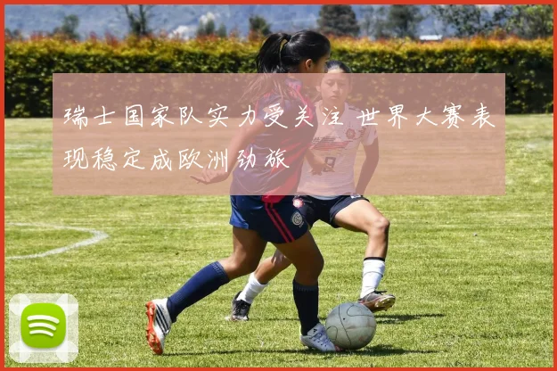 瑞士国家队实力受关注 世界大赛表现稳定成欧洲劲旅