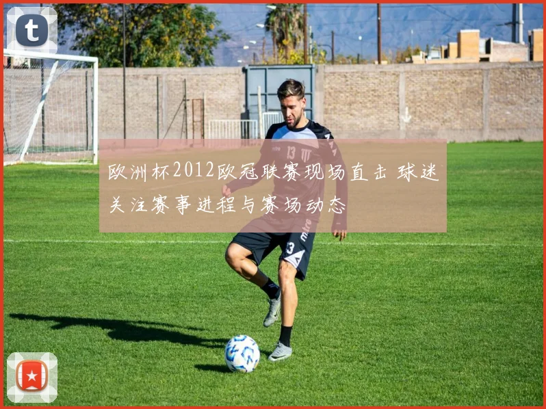 欧洲杯2012欧冠联赛现场直击 球迷关注赛事进程与赛场动态
