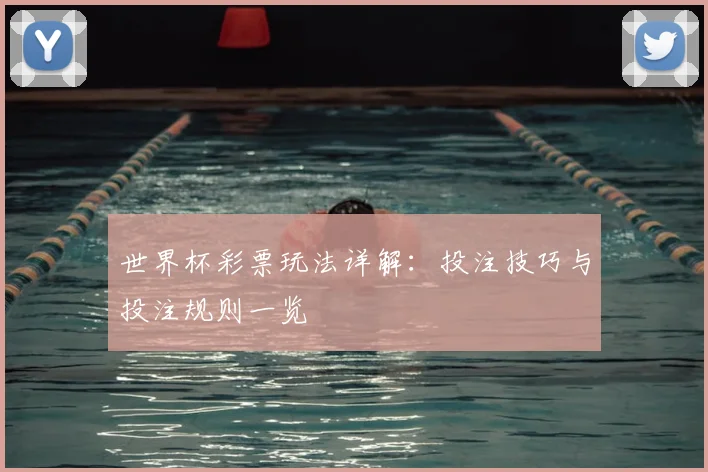 世界杯彩票玩法详解:投注技巧与投注规则一览