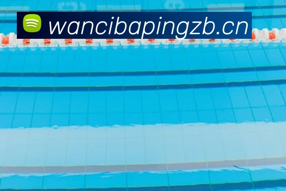 多媒体互动体验